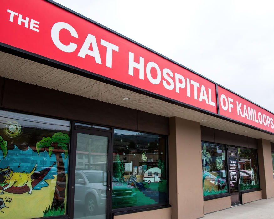 Cat Hospital of Kamloops in Kamloops